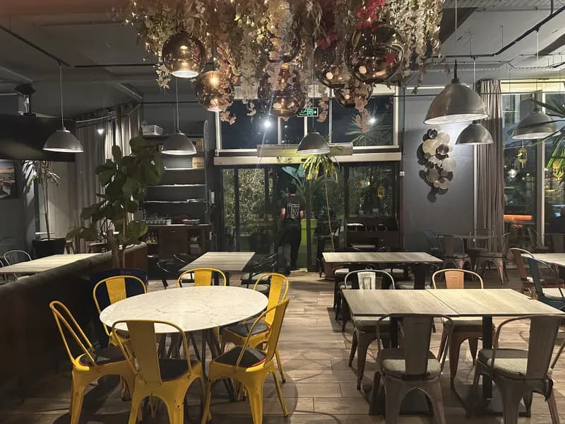 La salle, chaises jaunes et plantes suspendues