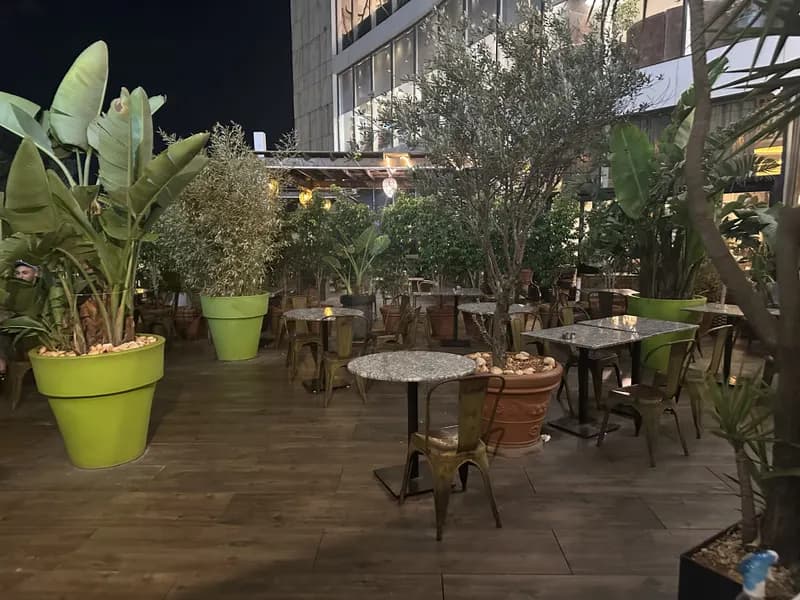 La terrasse de nuit, bananiers en pot et tables sous les guirlandes